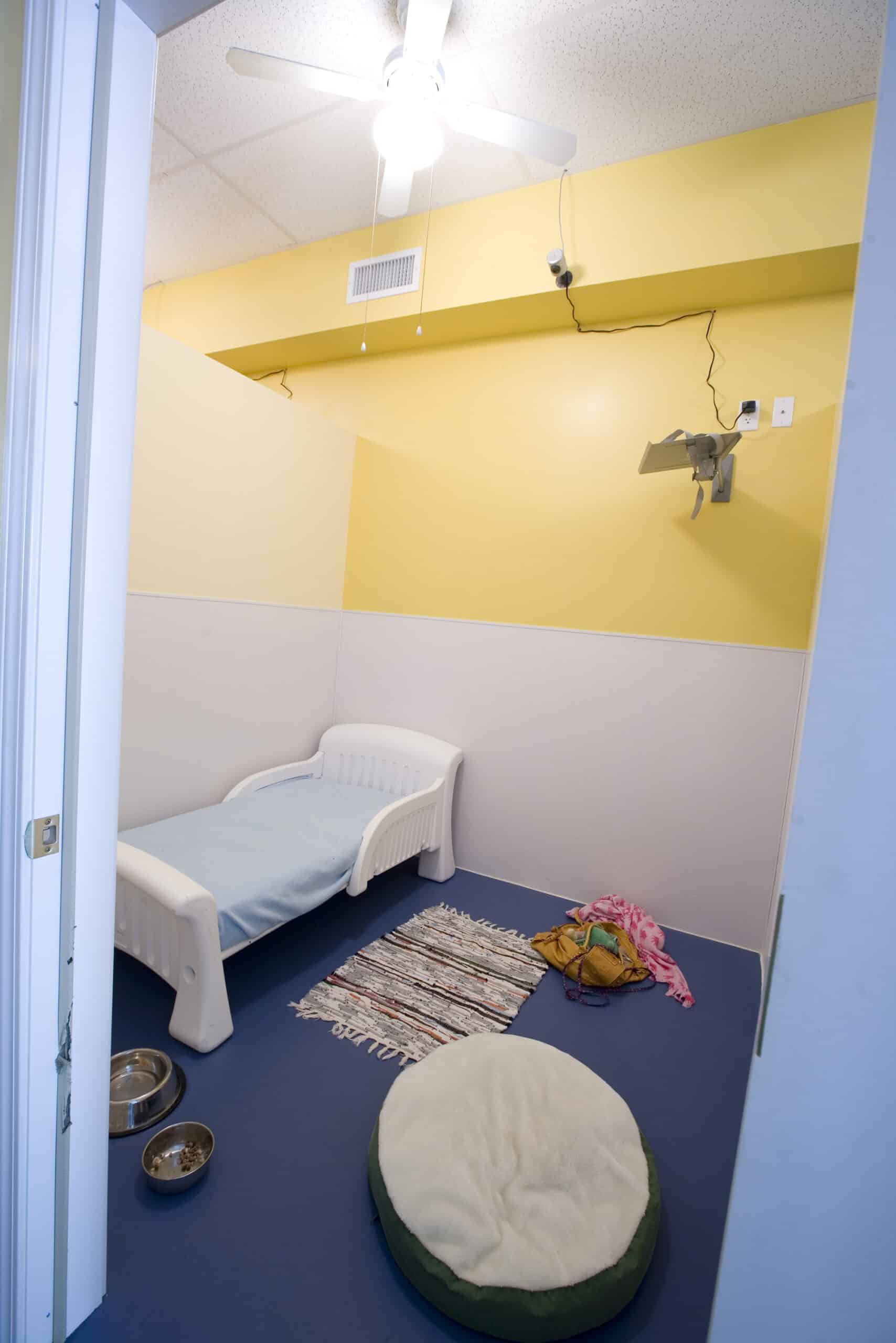 Photo Gallery Paws Pet Resort