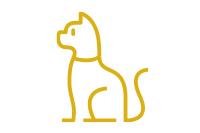 Cat Boarding icon