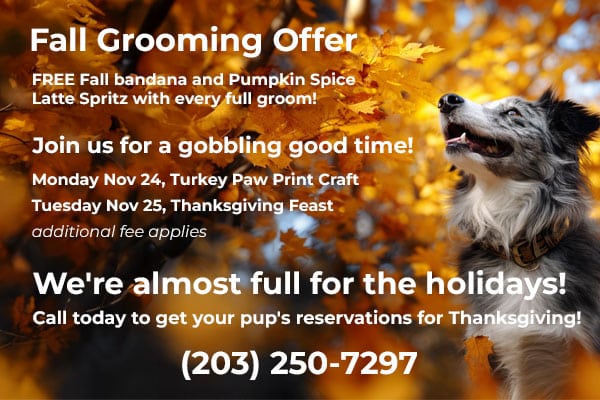 Fall Specials